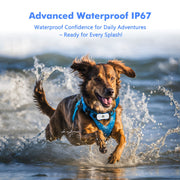 ‌4G Dog Cat GPS Tracker - Waterproof Smart Locator with iOS/Android App, Live Tracking & Light/Sound Search