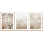 Wall Art 40cmx60cm Dried Flower 3 Sets Wood Frame Canvas V207-1043