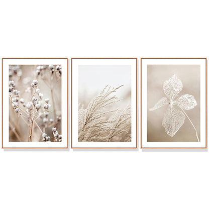 Wall Art 60cmx90cm Dried Flower 3 Sets Wood Frame Canvas V207-1045