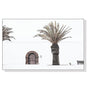 Wall Art 60cmx90cm European Palm Tree White Frame Canvas V207-1101