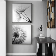 Wall Art 40cmx40cm Black and white dandelion 2 Sets Black Frame Canvas V207-1451-1
