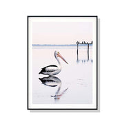 Wall Art 70cmx100cm Pelican Black Frame Canvas V207-1616