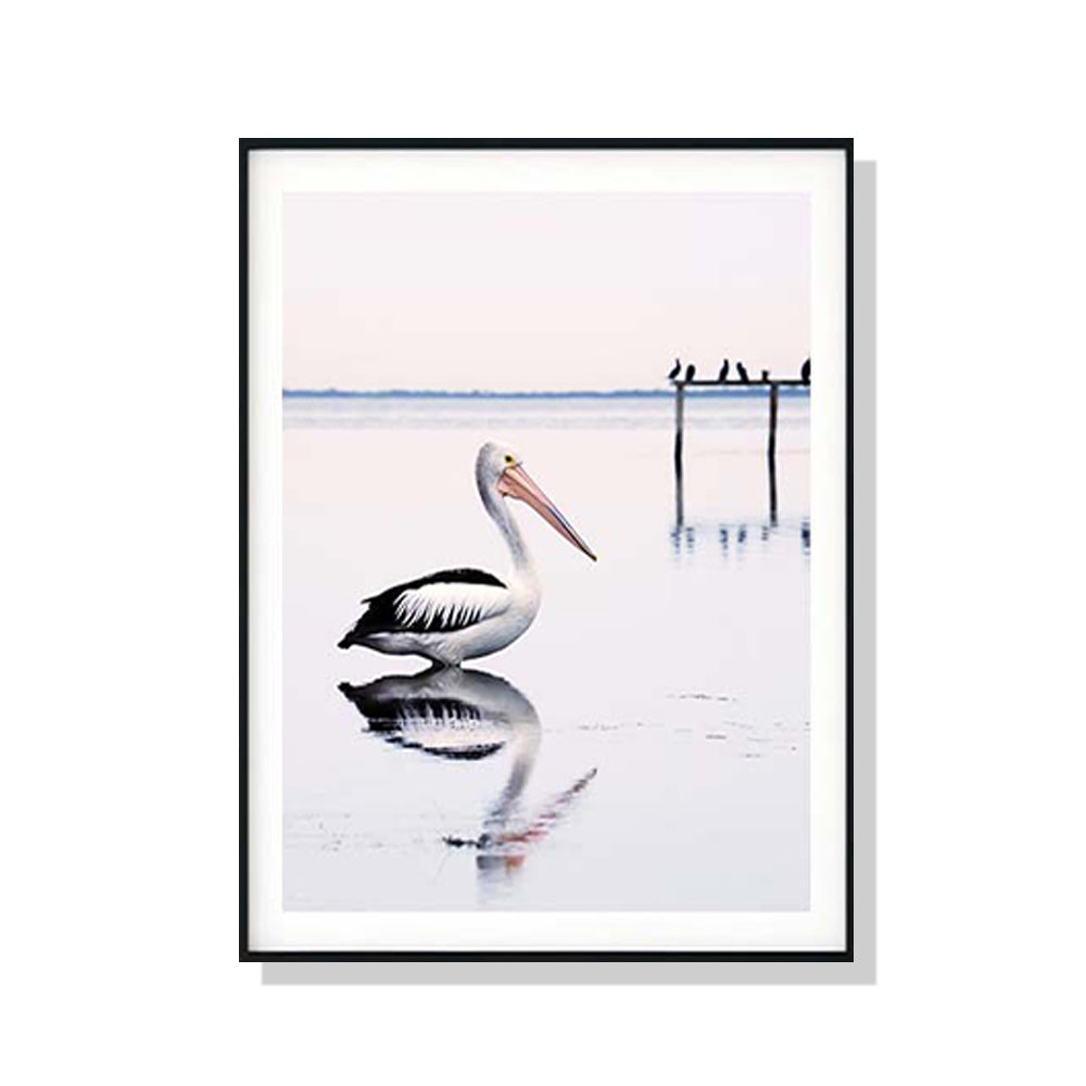Wall Art 70cmx100cm Pelican Black Frame Canvas V207-1616