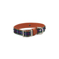 Highland Blue Tartan Dog Collar Medium V208-HBB-40