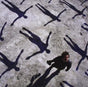 Absolution - Muse Cd Album V210-1153016