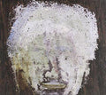 Boardface - Gotye Cd Album V210-1171250