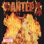 Reinventing The Steel - Pantera Cd Album V210-121245