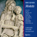 Motets / Corydon Singer - Bruckner, Anton Cd Album V210-127398