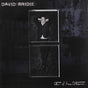 Act Of Free Choice - Bridie, David Cd Album V210-2098946