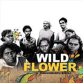 Manginburru Bininj - Wildflower Cd Album V210-2132450