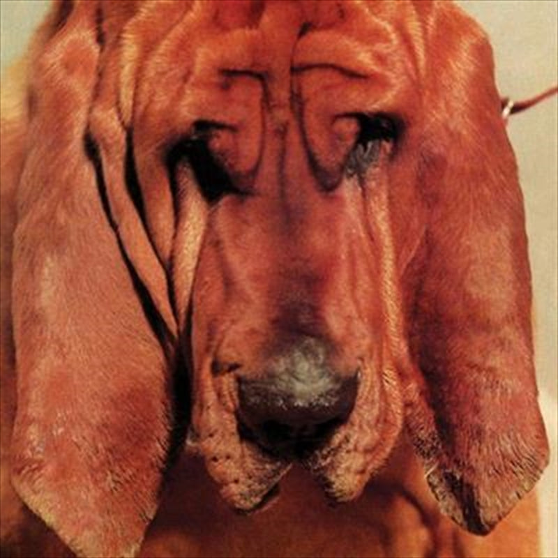 Goodbye Bread - Segall, Ty Cd Album V210-2200502