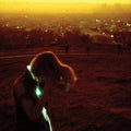 Era Extana - Neon Indian Cd Album V210-2203091