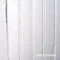 Beach Fossils - Beach Fossils Cd Album V210-2211805