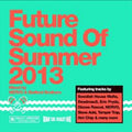 Future Sounds Of Summer 2013 - Various Cd Album V210-2218815