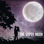 Gypsy Moon: Vol1 - Champagne, Daniel Cd Album V210-2223911
