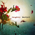 Baptized - Daughtry Cd Album V210-2259406