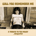 Will You Remember Me : A Tribu - Various Cd Album V210-2294304