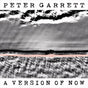 A Version Of Now - Garrett, Peter Cd Album V210-2312876