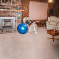 Dont Let The Kids Win - Jacklin, Julia Cd Album V210-2319721