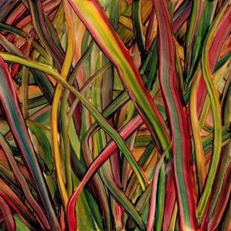 Where Wildness Grows - Gengahr Cd Album V210-2353836