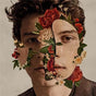 Shawn Mendes - Mendes, Shawn Cd Album V210-2372965