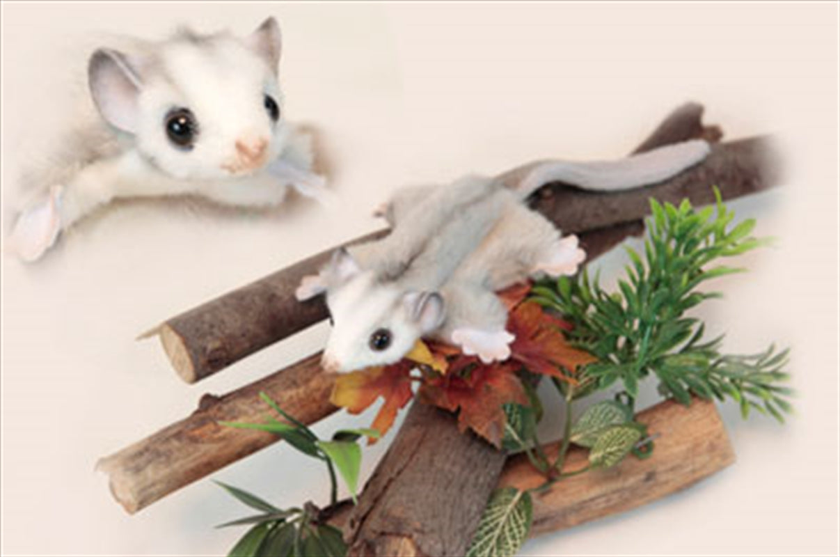 Feather Tail Glider 22cm L V210-2412018
