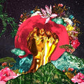 In A Galaxy - Mushonga, Rina Cd Album V210-2412508