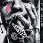 At Long Last Asap: Gold Series - Asap Rocky Cd Album V210-2413673