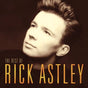 Best Of Rick Astley: Gold Seri - Astley, Rick Cd Album V210-2434260