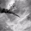 A Blemish In The Great Light - Half Moon Run Cd Album V210-2435632