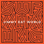 Surviving - Jimmy Eat World Cd Album V210-2436283