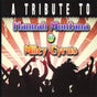Tribute To Hannah Montana And - Various Cd Album V210-2534308