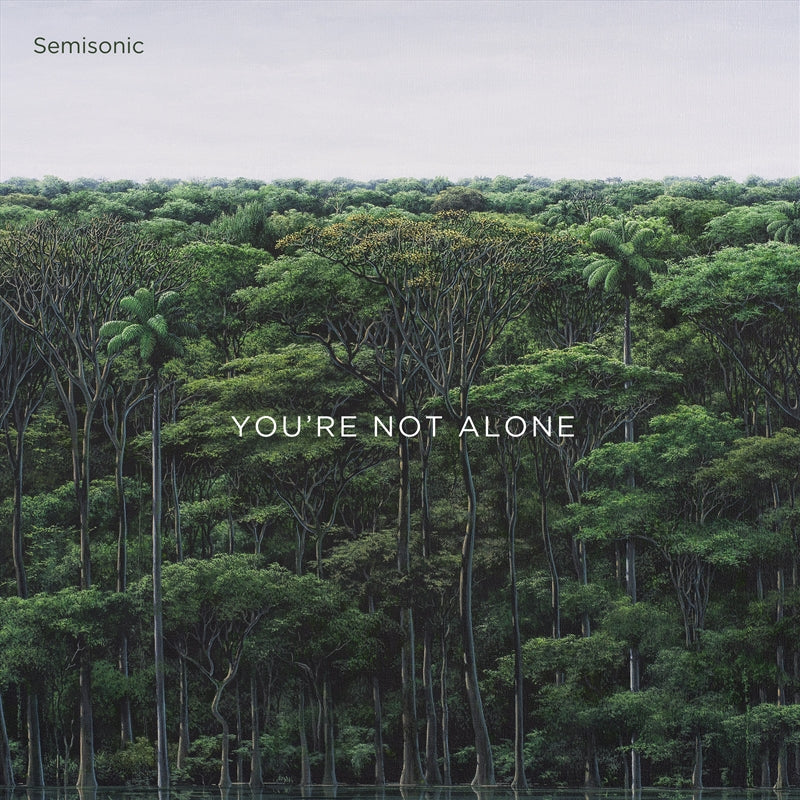 Youre Not Alone - Semisonic Cd Album V210-2600323