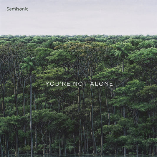 Youre Not Alone - Semisonic Cd Album V210-2600323