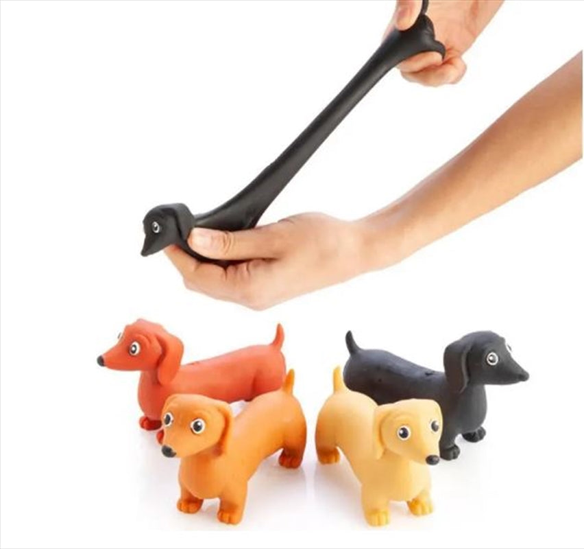 Novelty Stretch Dachshund Sausage Dog Toy (SELECTED AT RANDOM) V210-2603713