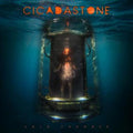 Cold Chamber - Cicadastone Cd Album V210-2613065