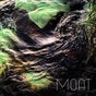 Poison Stream - Moat Cd Album V210-2616953