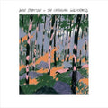 Changing Wilderness - Stratton, Will Cd Album V210-2631465
