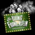 Mel Brooks Young Frankenstein - Soundtrack Cd Album V210-2632592
