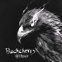 Hellbound - Buckcherry Cd Album V210-2633545