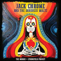 Jack Chrome And The Darkness W - Morris Springfield Project Cd Album V210-2645675