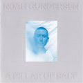 A Pillar Of Salt - Gundersen, Noah Cd Album V210-2658983