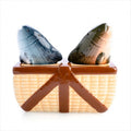 Fishing Salt Pepper Set V210-2670030