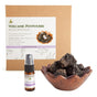 Volcanic Room Diffuser in Terracotta Bowl - Lavender V210-2670738