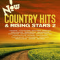 Now Country: Hits And Rising - Various Artists Cd Album V210-2682291