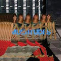 Multitudes - Feist Cd Album V210-2749521