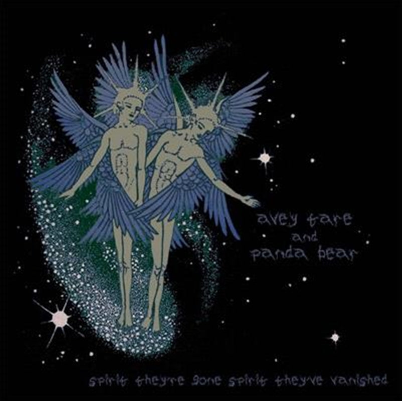 Spirit Theyre Gone Spirit They - Animal Collective Cd Album V210-2756911