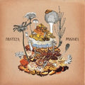 Paisajes - Tristeza Cd Album V210-2788070