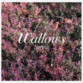 Spring - Wallows Cd Album V210-2789591