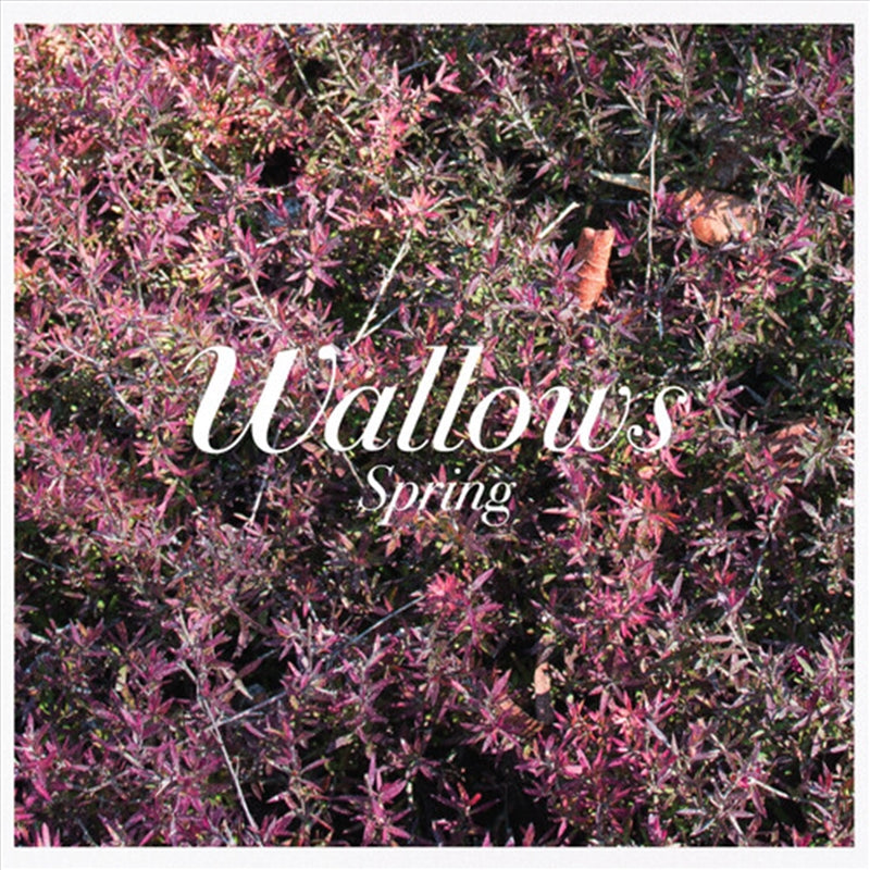 Spring - Wallows Cd Album V210-2789591